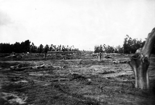 Clearing land at Los Angeles State College, San Fernando Valley Campus, 1957