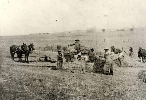 Wheat farmers, circa 1900