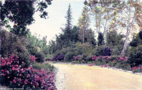 Gardens at the Orcutt Ranch, 1924