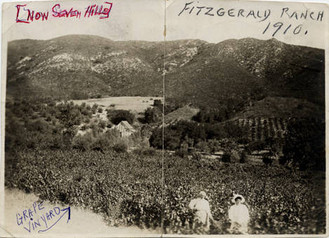 Vineyards at Fitzgerald Ranch