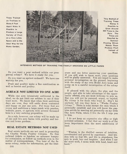 Charles Weeks Poultry Colony no. 2 (page 12)