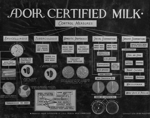 Adohr Farms' chart of control measures taken to protect milk from contamination, 1936