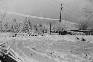 Snow, 1949