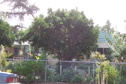 Ritchie Valens home, Pacoima, 2003