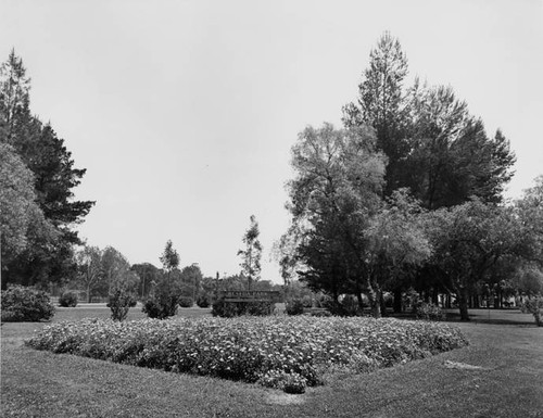 Reseda Park, circa 1950s-1960s