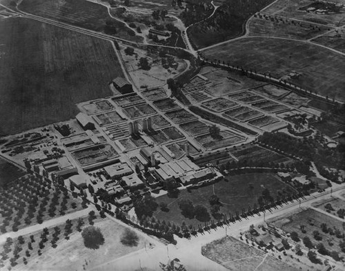 Adohr Farms, Reseda, circa 1937