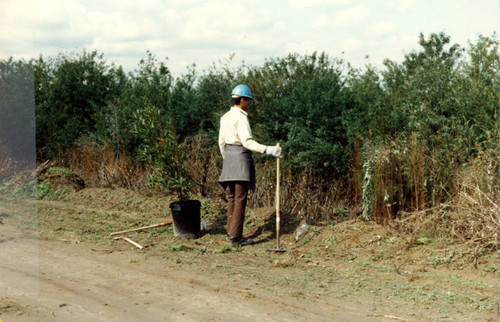 Planting at the Sepulveda Wildlife Reserve, 1981