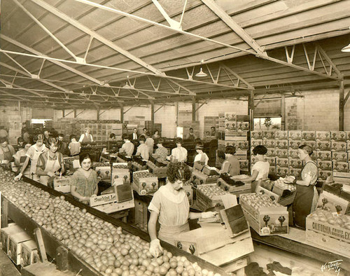 San Fernando Heights Lemon Company