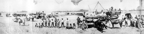 Farming in Chatsworth, circa 1908-1917