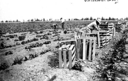 Brant Ranch, 1913