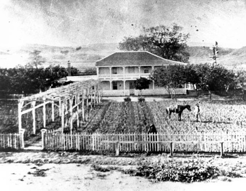 Leonis Adobe, circa 1916