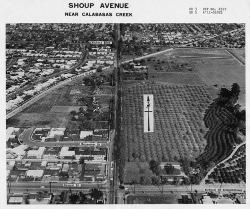 Shoup Avenue, Woodland Hills, 1965