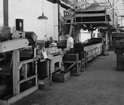 Processing oranges, circa 1935-1945