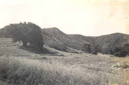 John Show Ranch, looking west