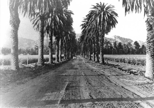 March Avenue, south of Roscoe Boulevard, circa 1948