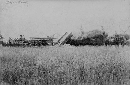 Hubbard-Wright farming crew, circa 1900