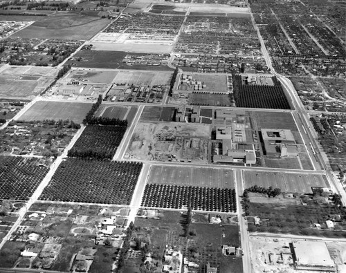 Campus of San Fernando Valley State College (now CSUN), Aerial View Looking East, April 11, 1962