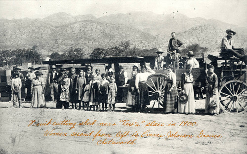 Farm workers, Chatsworth, 1900