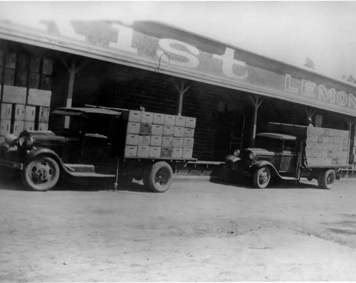 Sunkist Lemon packing plant, Mission Hills, undated