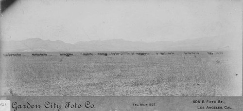 James Richard Williams farming operation, 1900