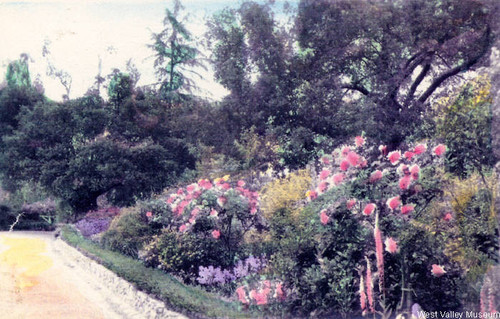 Gardens at the Orcutt Ranch, 1924