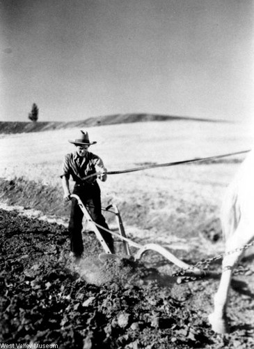 Actor Francis Lederer plowing a field, Canoga Park, 1930-1939