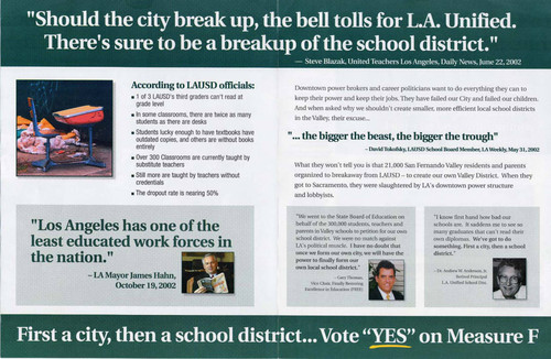 Valley Cityhood flier (pages 2-3)