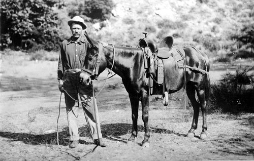 Glendale farmer and his mule, circa 1920