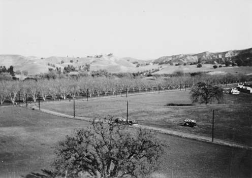 Show Ranch, 1948. Calabasas, Calif