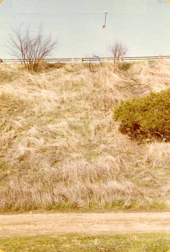 Sepulveda Wildlife Reserve pond water source, 1980