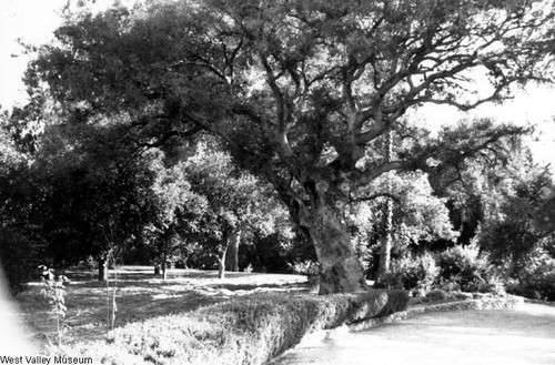 Gardens at the Orcutt Ranch, 1993