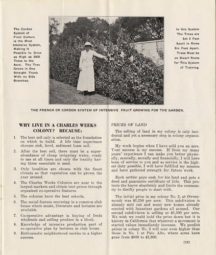 Charles Weeks Poultry Colony no. 2 (page 13)