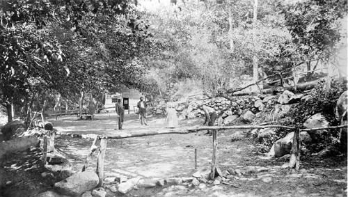 Switzer's Camp, circa 1910