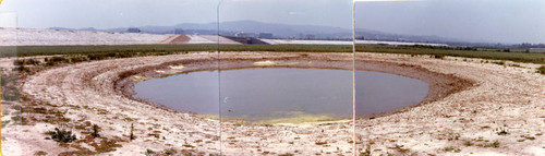 Sepulveda Wildlife Reserve pond, Spring 1980