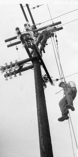 Poletop rescue demonstration in Glendale, 1952