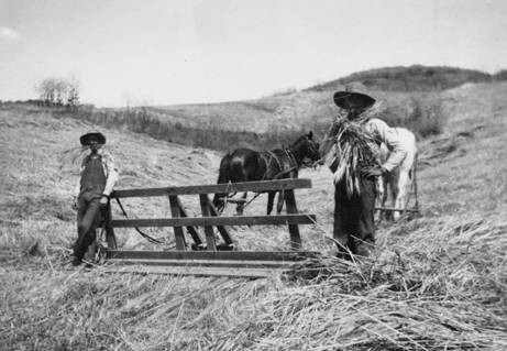 Daic Ranch, circa 1908