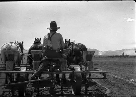 Halverson farm, 1925