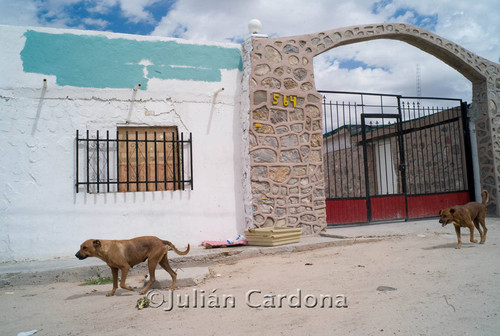 Rehab center massacre, Juárez, 2009