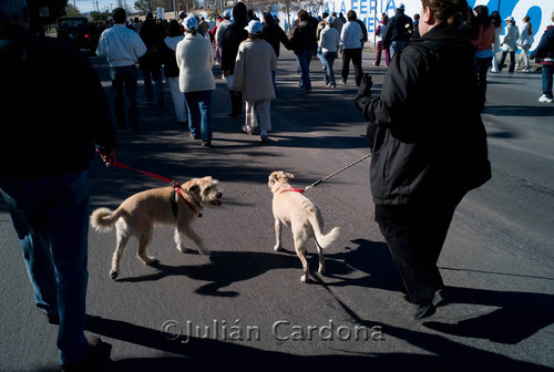 March for Peace, Juárez, 2009