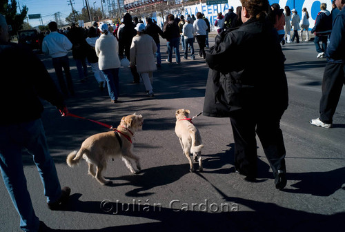 March for Peace, Juárez, 2009