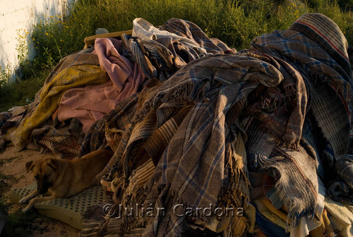 Drying blankets, Juárez, 2008