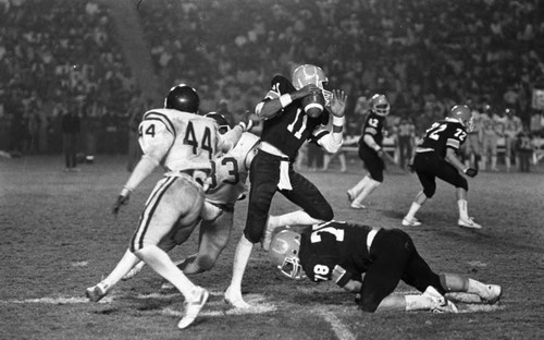 Crenshaw and Carson High School football teams running a play during a city championship game, Los Angeles, 1982