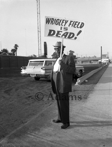 Wrigley field is dead, Los Angeles, 1964