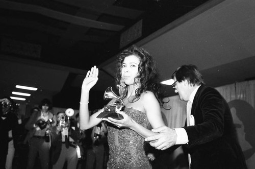 26th Annual Grammys, Los Angeles, 1984