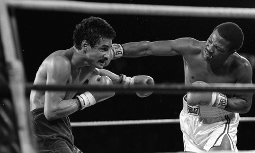 World Championship Boxing, Las Vegas, 1983