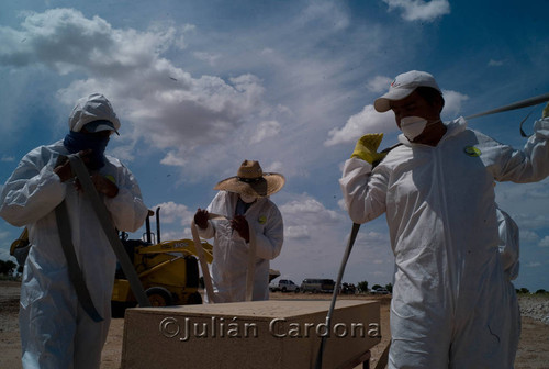 Mass Grave, San Rafael Cemetery, Juárez, 2009