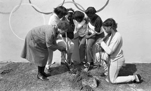 Foshay Jr. High School students planting rose bushes, Los Angeles, 1983