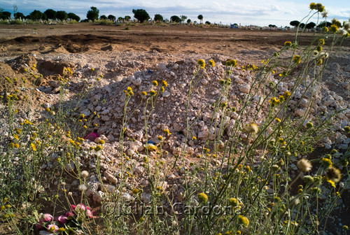 Mass grave, Juárez, 2009