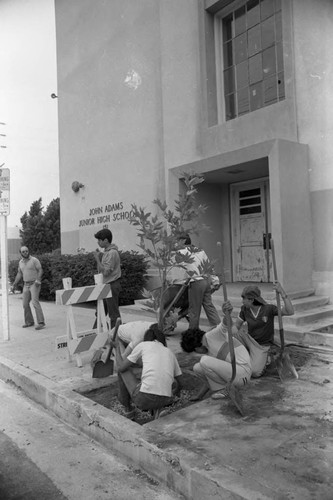 John Adams Jr. High School students planting a tree, Los Angeles, 1982