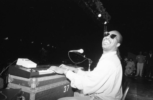 Stevie Wonder performing at the Black Family Reunion, Los Angeles, 1989